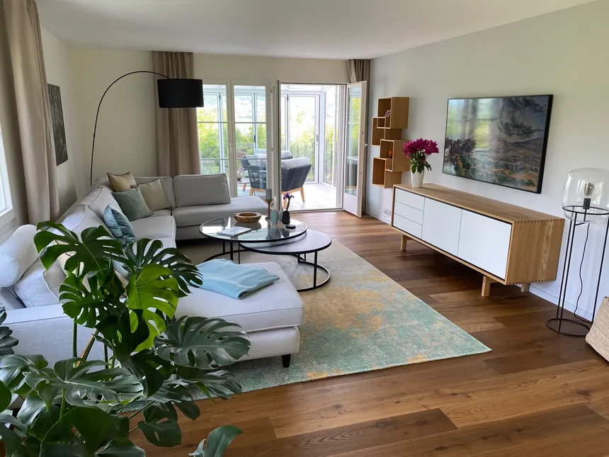 Helles Wohnzimmer mit abgestimmtem Teppich, Sideboard und Pflanzen